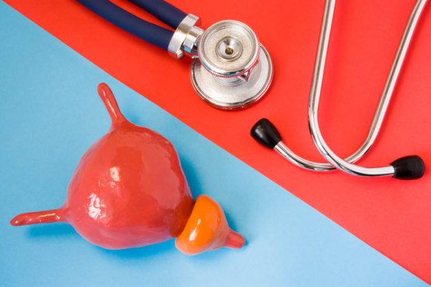 Design concept of diagnosis and detecting diseases of urinary system organ – bladder and prostate. Stethoscope and model of bladder with prostate are opposite each other on red and blue background